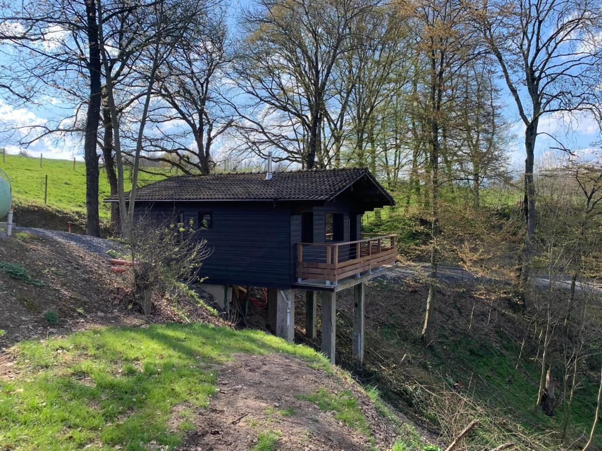 Gites Douillets : Chalet Sur Pilotis Houyet المظهر الخارجي الصورة
